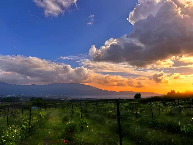 Pompeii: Mount Vesuvius Night Horseback Ride and Italian BBQ - Getting There From Pompeii: Pickup Towns and Transfer Timing