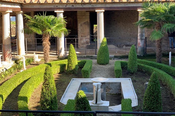 Pompeii & Mount Vesuvius Private Tour with Guide - Price and logistics: what $354.86 per person really covers