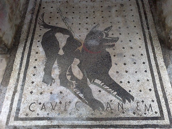 Pompeii Positano and Sorrento shared excursion with Pompeii skip the line entry - Who This Shared Day Trip Suits Best