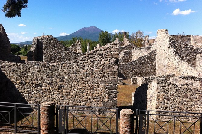 Pompeii Private Half-Day Tour from: Naples,Sorrento, Amalfi Coast - Villa dei Misteri and Pompeii’s “different world” of villas