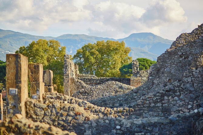 Pompeii Private & Personalized Tour with archeology expert guide - Small Group Size: The Sweet Spot for Questions