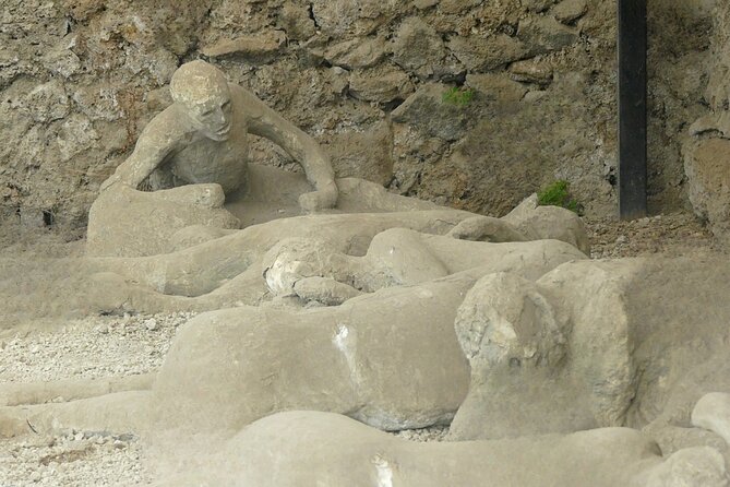 Pompeii private tour - Tickets and optional guides: what your $121.92 price really buys