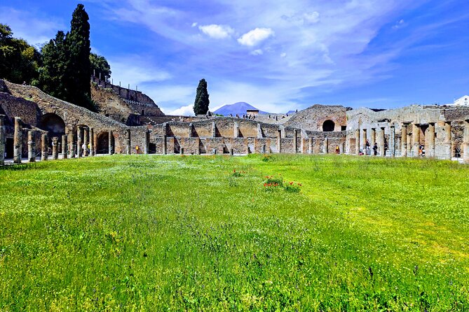 Pompeii private tour from Naples. The best choice for cruisers - Why this Pompeii private tour works well for cruises