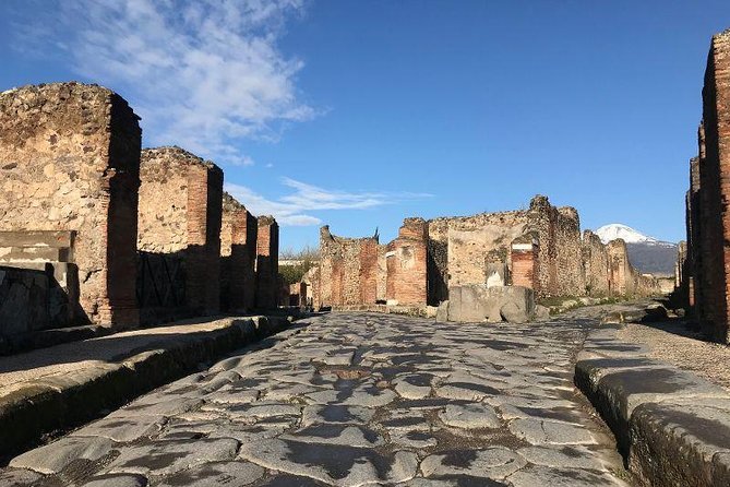 Pompeii Private Tour with Expert Guide - Guides Like Romolo, Sophia, and Francesco Make It Personal