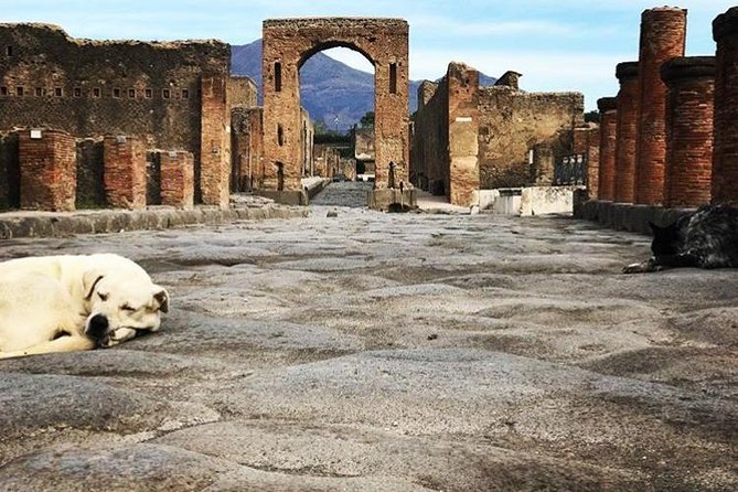 Pompeii Private Tour with Expert Guide - What You Will See: Theatres, Square, Lupanare House, Villas, Baths