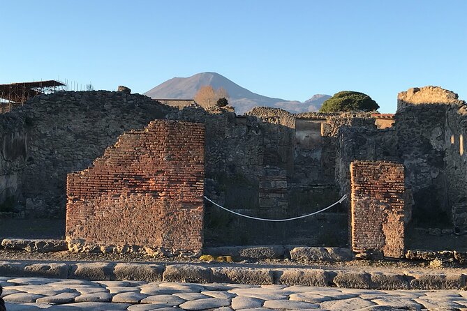 Pompeii Private Tour with expert local guide - Price and value: $228.78 per group up to 10