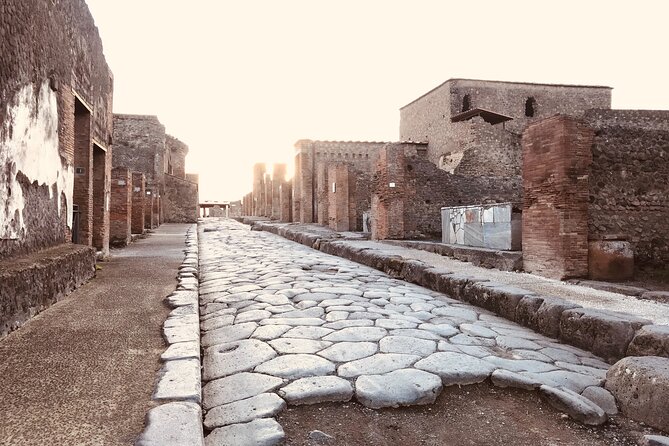 Pompeii Private Tour with expert local guide - Logistics that matter in Pompeii