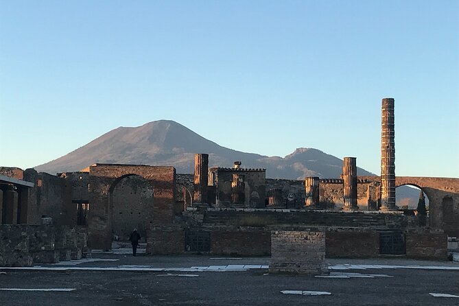 Pompeii Private Tour with expert local guide - Stop 1: Pompeii Archaeological Park, your guide through the eruption story
