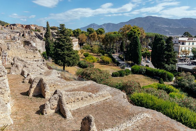 Pompeii PRIVATE TOUR With Locals: Ticket & Guide Included - The Forum of Pompeii: Politics and Trade in One Place