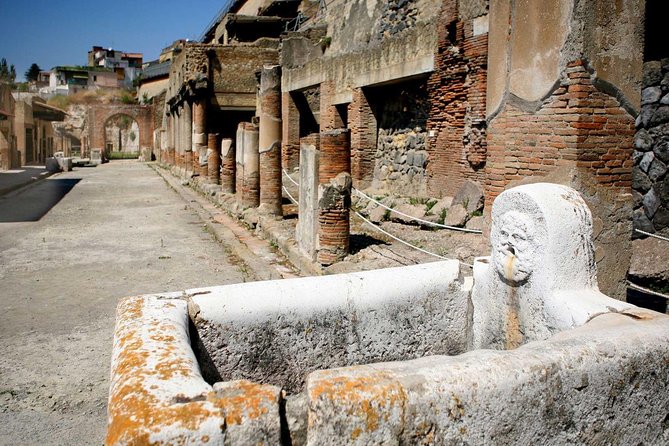 Pompeii Ruins: Day Trip from Naples with skip the line ticket - Priority entrance: what it means in real life