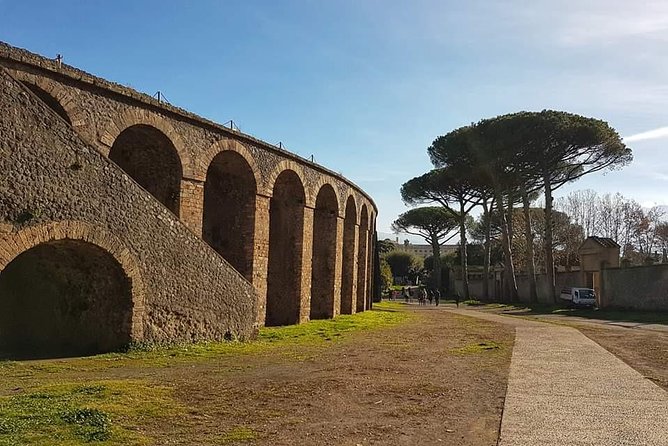Pompeii Ruins: Day Trip from Naples with skip the line ticket - The shuttle ride: small group logistics and what to expect on the road