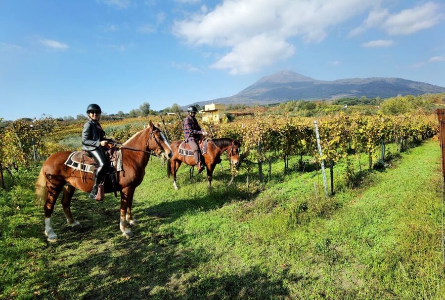 Pompeii: Ruins Tour and Mount Vesuvius Horseback Ride - Key things you’ll notice