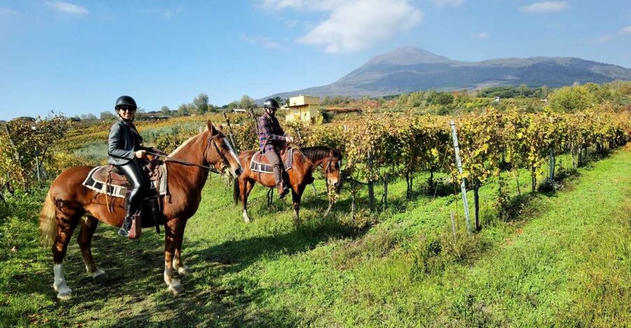 Pompeii: Ruins Tour and Mount Vesuvius Horseback Ride - What you get for about $215: real value math
