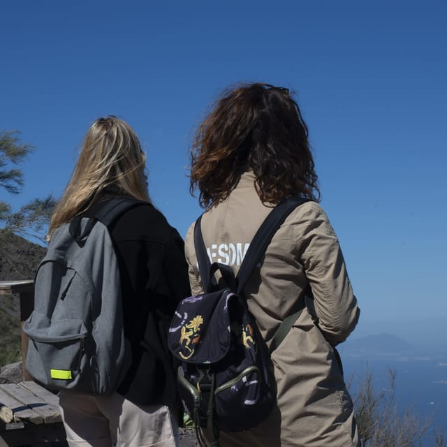 Pompeii Ruins & Vesuvius Full-Day Tour from Pompeii - Key things I’d watch for before you go