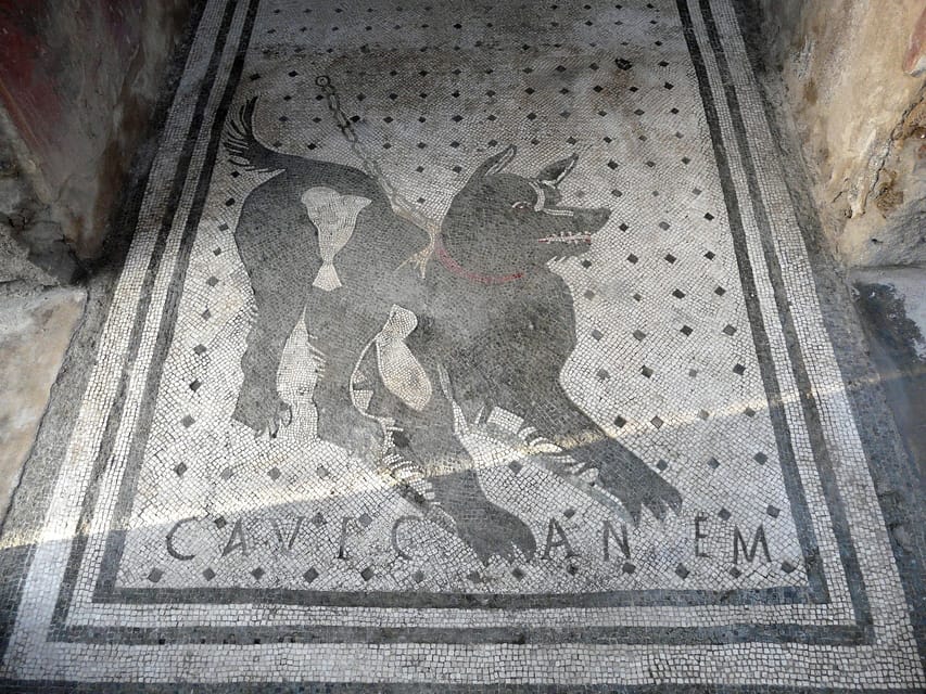Pompeii: Skip-the-Line Entry & Audioguide - What Skip-the-Line Really Changes at Pompeii