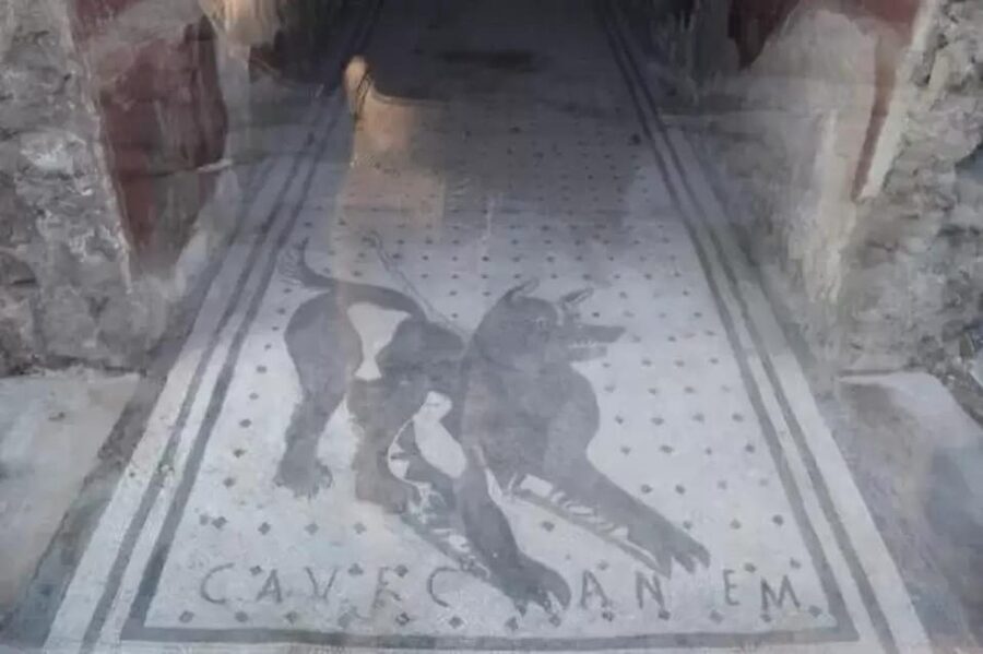 Pompeii: Skip the Line Ticket + Audioguide - How Long You’ll Need: Making a 1-Day Visit Feel Like a Win
