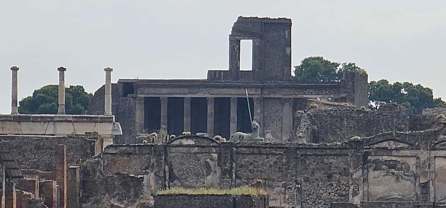 Pompeii, skip-the-line ticket with smartphone audio guide on App - Logistics That Actually Matter: ID, Bags, Shoes