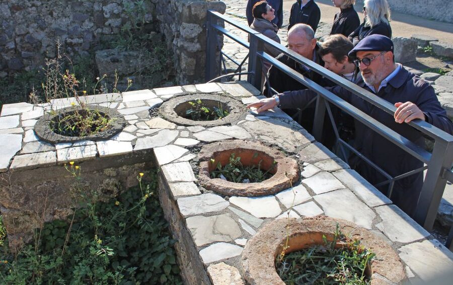 Pompeii: Skip-the-Line Tickets and Tour with Archaeologist - Price and value: is $105 a fair deal for skip the line plus an archaeologist?