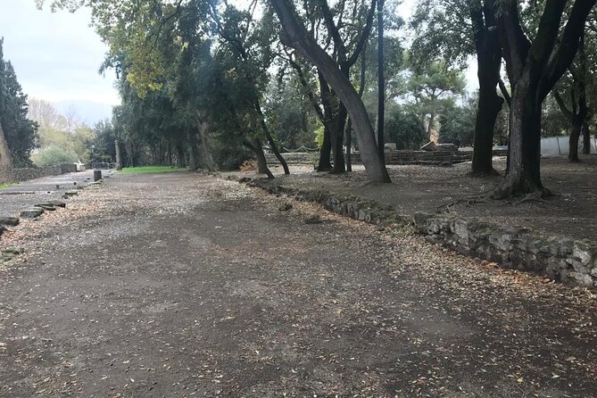 Pompeii Small Group Guided Tour with Skip-the-line Admission - Pompeii in Two Hours, Skip-the-line Entry Included