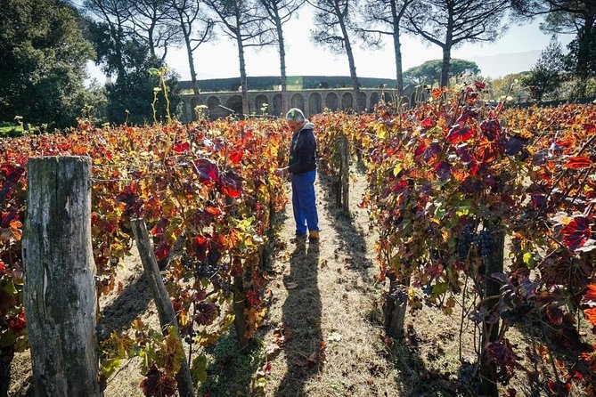 Pompeii Small Group Tour & Food/Wine tasting at Mt. Vesuvius - Why the guided approach feels different on Pompeii