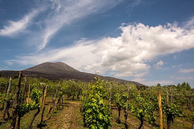 Pompeii Small Group Tour & Food/Wine tasting at Mt. Vesuvius - Who this tour suits best