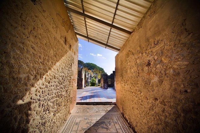 Pompeii Small Group Tour & Food/Wine tasting at Mt. Vesuvius - Pompeii in 2 hours: the route that actually makes sense
