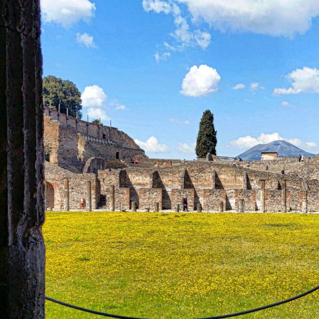 Pompeii Sunset tour for small group - Basilica, Macellum, and Foro Civile: quick stops that build your mental map