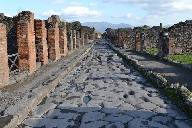 Pompeii the Ancient City (Tour+Transfer) - Casa del Fauno: luxury in the Roman Republic style