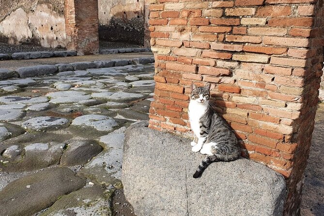 Pompeii the Ancient City (Tour+Transfer) - Teatro Grande: performances that weren’t designed to disappear