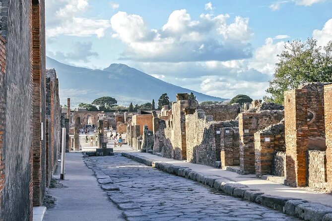 Pompeii Tour & Admission included in a Small Group - Casa del Fauno and the Vettii Houses: home life and seasonal access