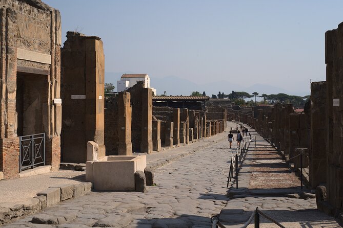 Pompeii Tour & Lunch with Wine Tasting Experience - Transportation and group size: why the “small” part actually matters
