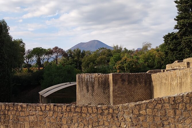 Pompeii: Tour with Archaeologist Guide & Skip-the-Line Entry - Skip-the-Line Entry: The Value of Getting In Fast