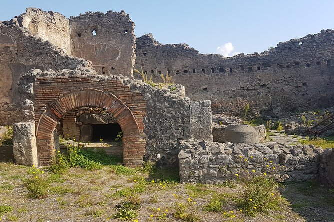 Pompeii Tour with experienced guide - Price and Value: What You’re Paying For in This 2-Hour Tour
