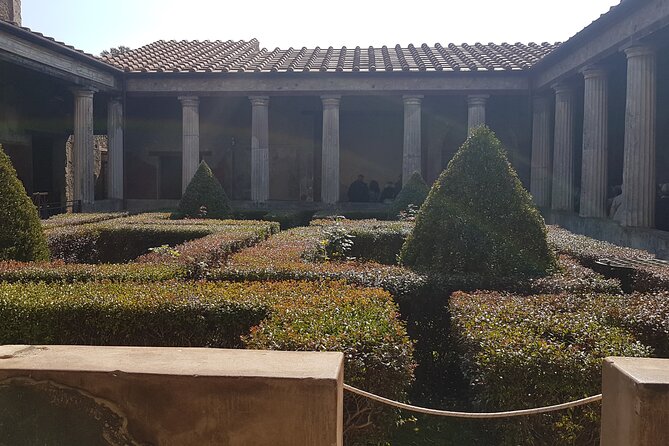 Pompeii Tour with experienced guide - Two Hours on the Ground: What You’ll See in Pompeii