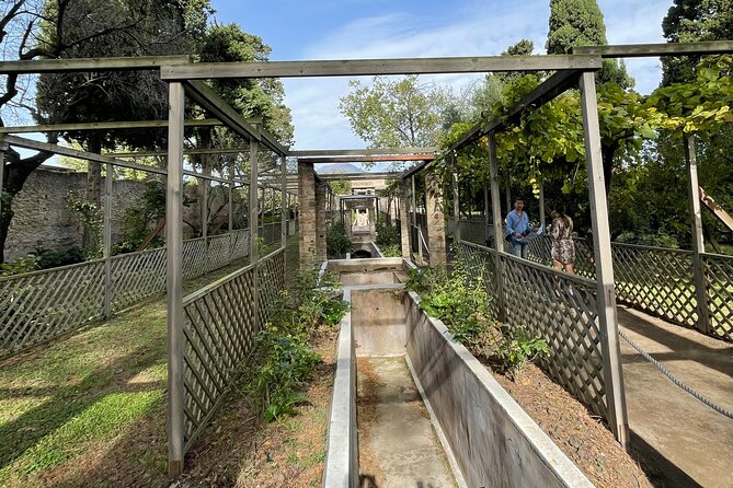 Pompeii Unveiled: 3-Hour Private Tour In-Depth Discovery - Palestra Grande: the gym that turns daily life into a story