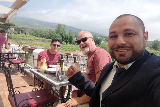 Pompeii, Vesuvius & Wine Tasting Private day Tour - Price and Value, What $317.89 Really Buys