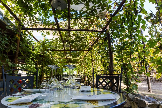 Pompeii Vineyard Escape: Private Wine Tasting & Lunch - The 79 AD necropolis walk: Pompeii beyond the main sites