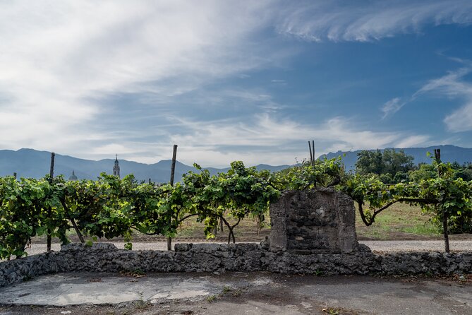 Pompeii Vineyard Escape: Private Wine Tasting & Lunch - How long will it feel, and when should you schedule it?
