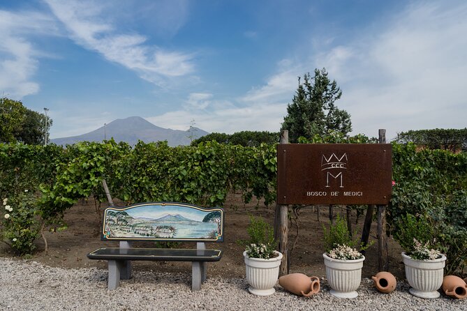 Pompeii Vineyard Escape: Private Wine Tasting & Lunch - Getting there: meeting point, transport, and timing