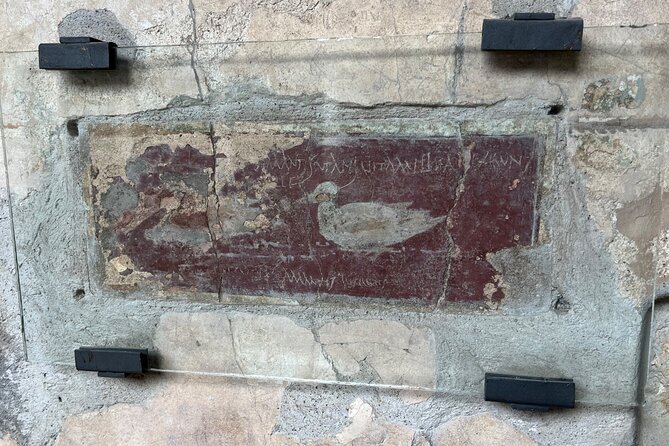 Pompeii walking tour (2hrs) - Gladiators gym and the city’s obsession with fun
