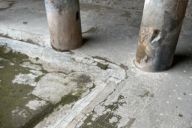 Pompeii walking tour (2hrs) - Food, customs, and the small details that make Pompeii human