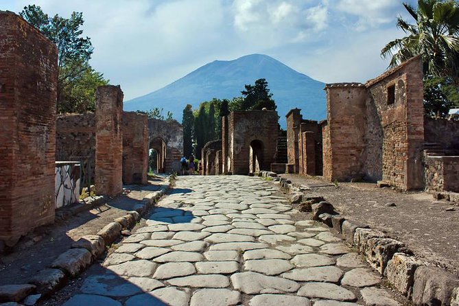 Pompeii Walking Tour with a licensed Guide - Pompeii is frozen in time because the volcano kept receipts