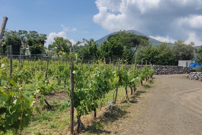 Pompeii & Wine Tasting : Private Day Trip from Naples - Campania Lunch Menu and Wine Tasting on Vesuvius Slopes
