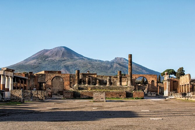 Pompeii & Wine Tasting : Private Day Trip from Naples - Driver-First Service: Fabio and Paolo Set the Tone