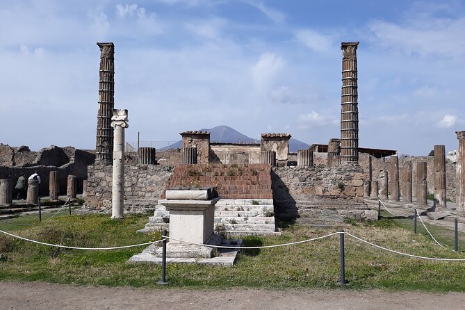 Pompeii & Wine Tasting : Private Day Trip from Naples - Price and Value: What You Pay For, and What Costs Extra