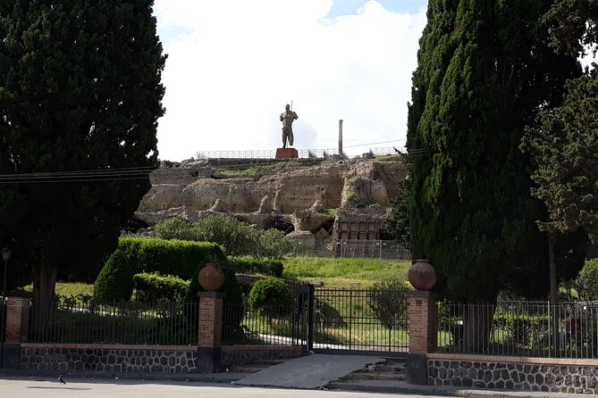Pompeii & Wine Tasting : Private Day Trip from Naples - Who This Private Trip Is Best For