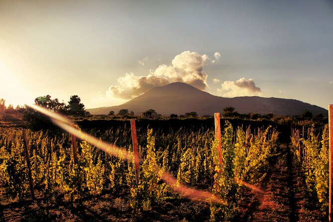 Pompeii with Wine Tasting and Lunch from Naples - Pompeii with a plan, not just a crowd