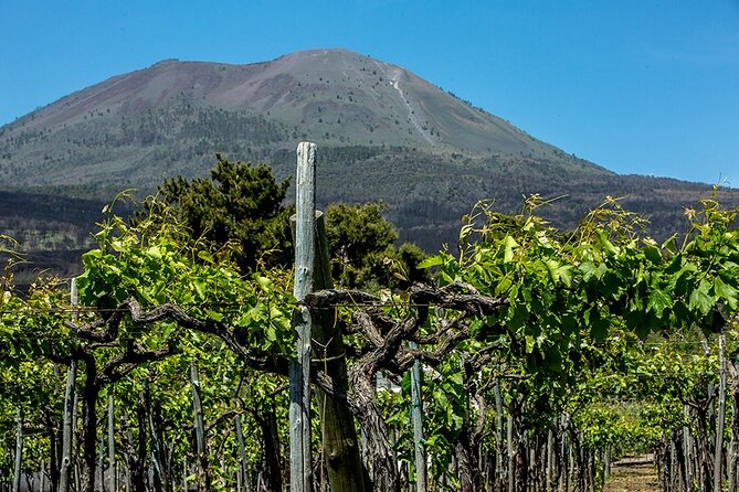Pompeii with Wine Tasting and Lunch from Naples - The cameos and corals workshop stop, what to expect