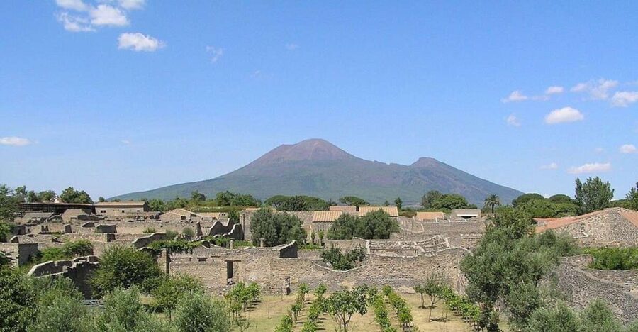 Pompeii with Wine Tasting Private Tour - Pompeii and Vesuvius in One Tight 6-Hour Day
