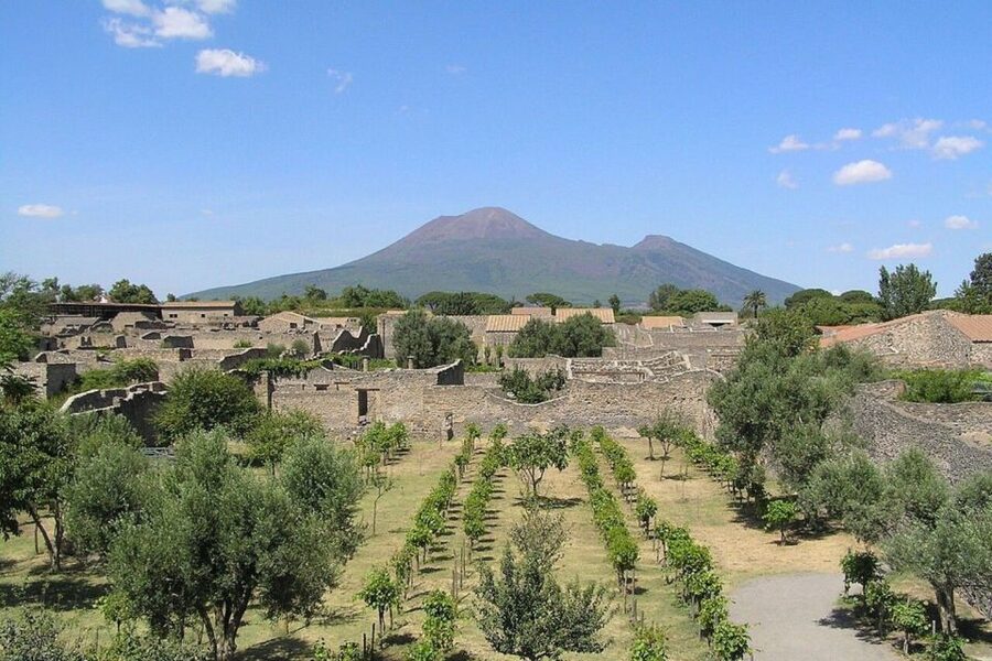 Pompeii with Wine Tasting Private Tour - What Makes the Pompeii Experience Feel Private (Not Just Faster)